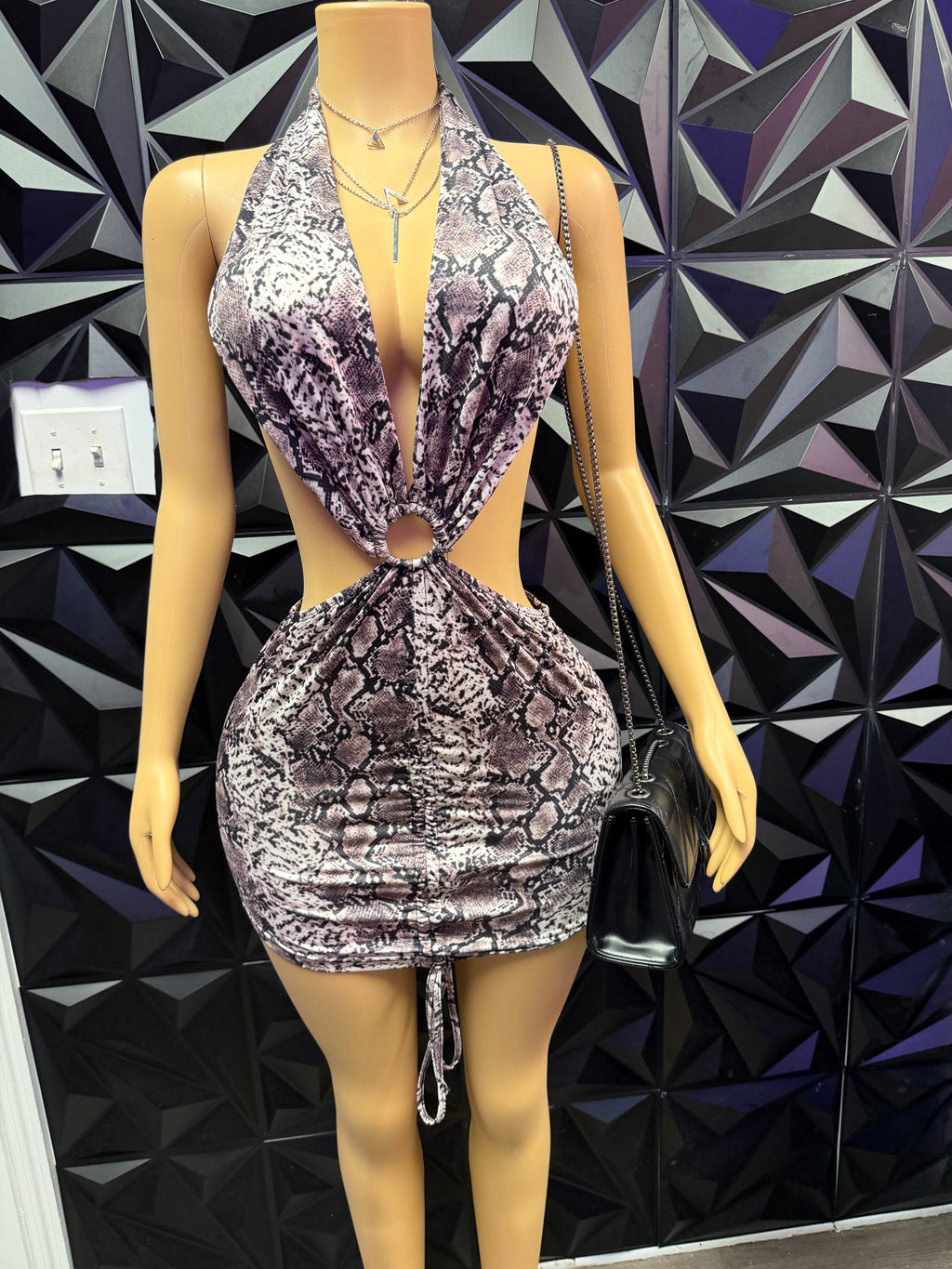 Animal Print Dress image 3