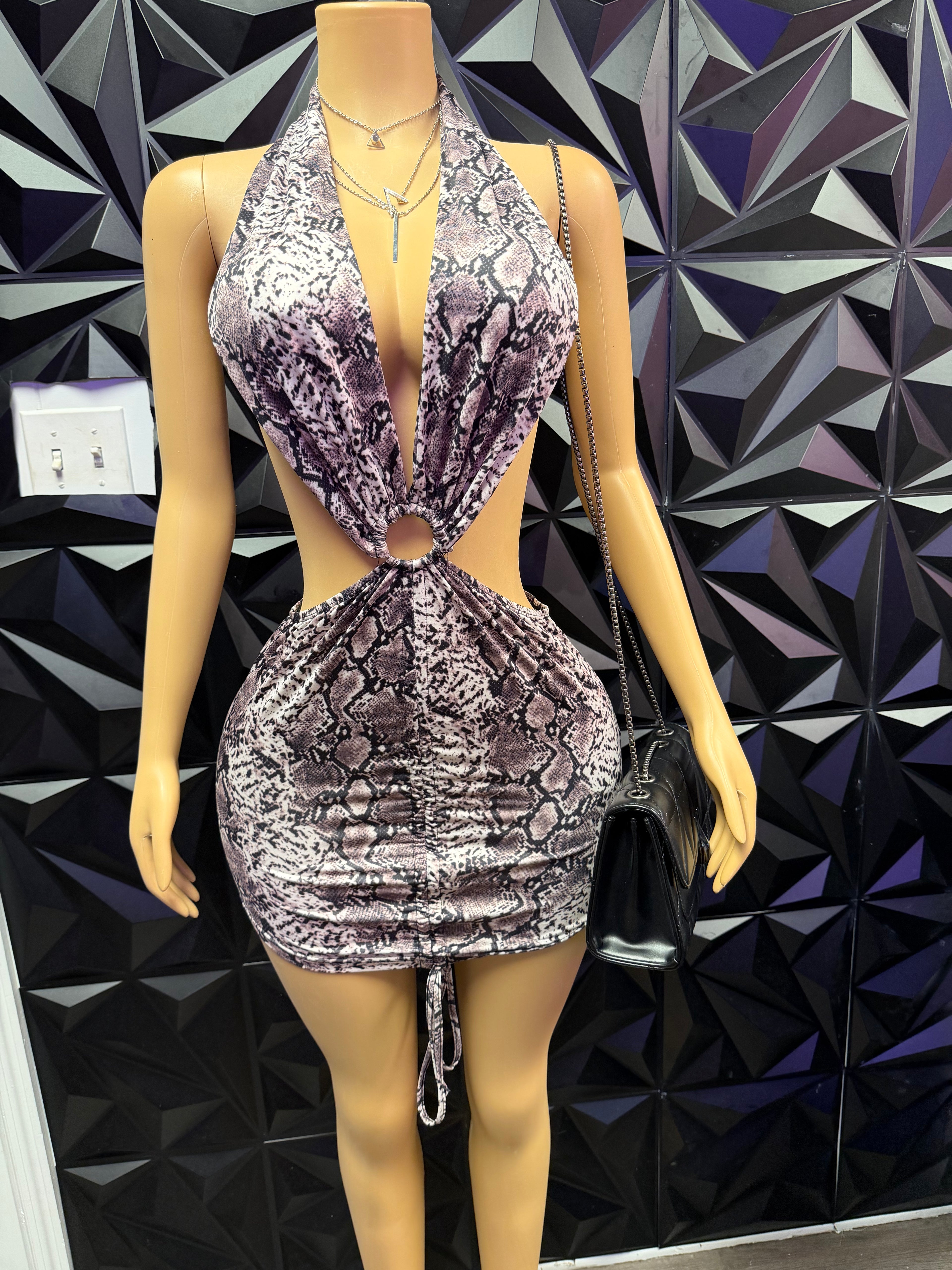 Animal Print Dress image 3