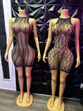 Mesh Dress-One Size image 0