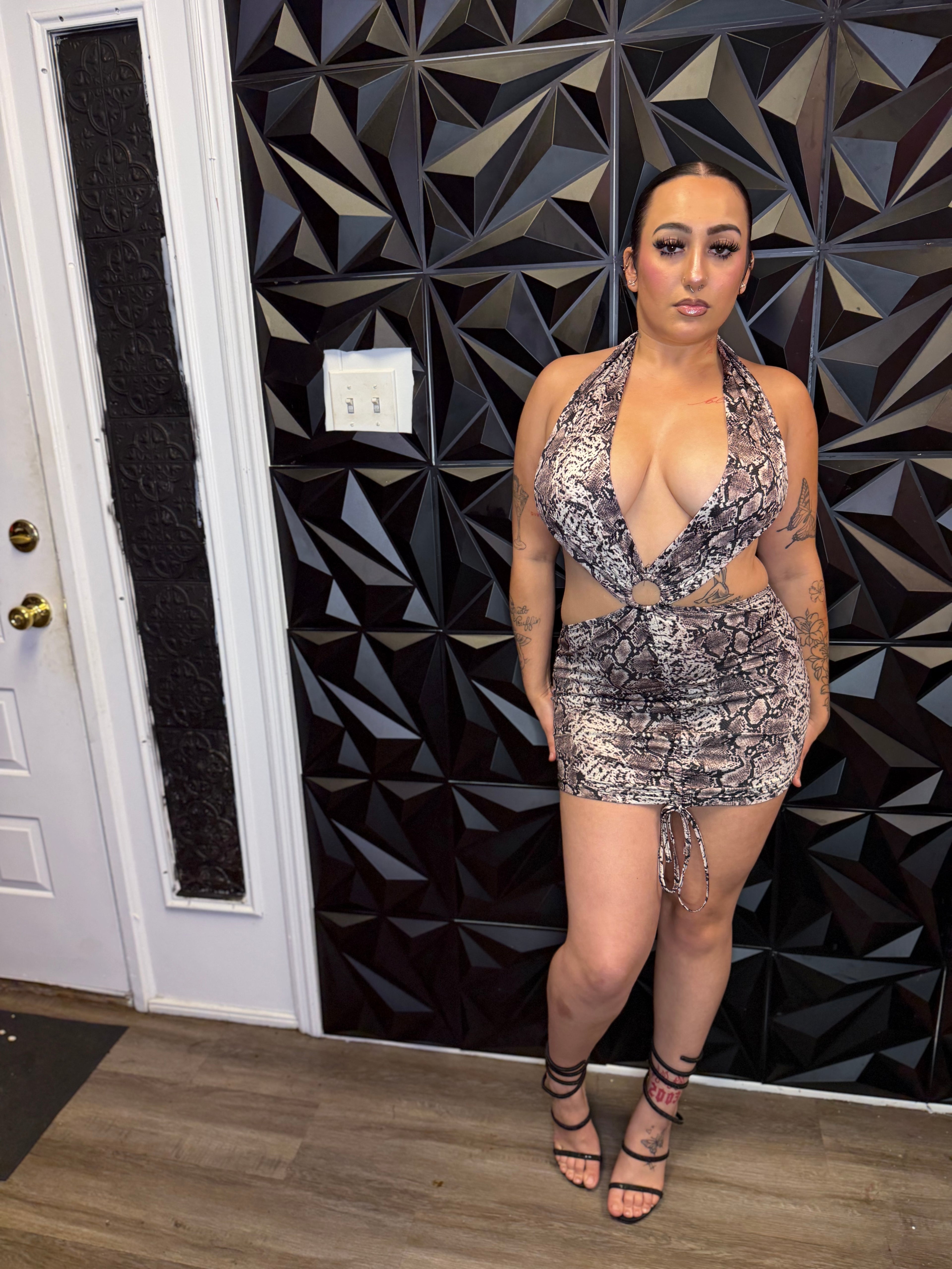 Animal Print Dress image 0